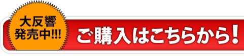 『細野真宏の考える手帳2015』を購入する